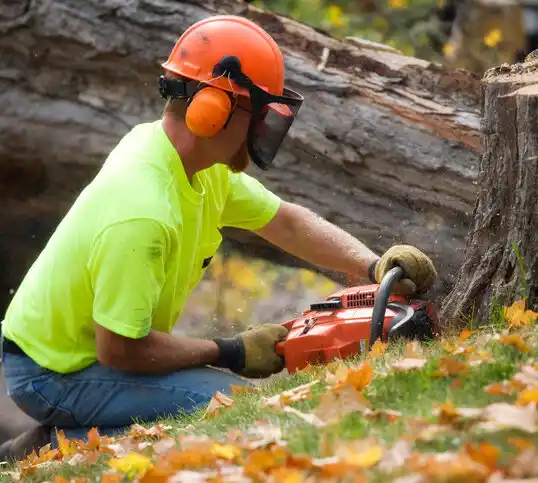 tree services Middlesborough